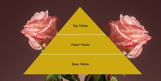 Understanding Fragrance Notes in Perfume: How Top, Heart and Base Notes Create the Perfect Scent