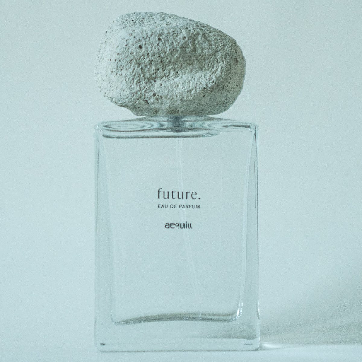 Future Perfume